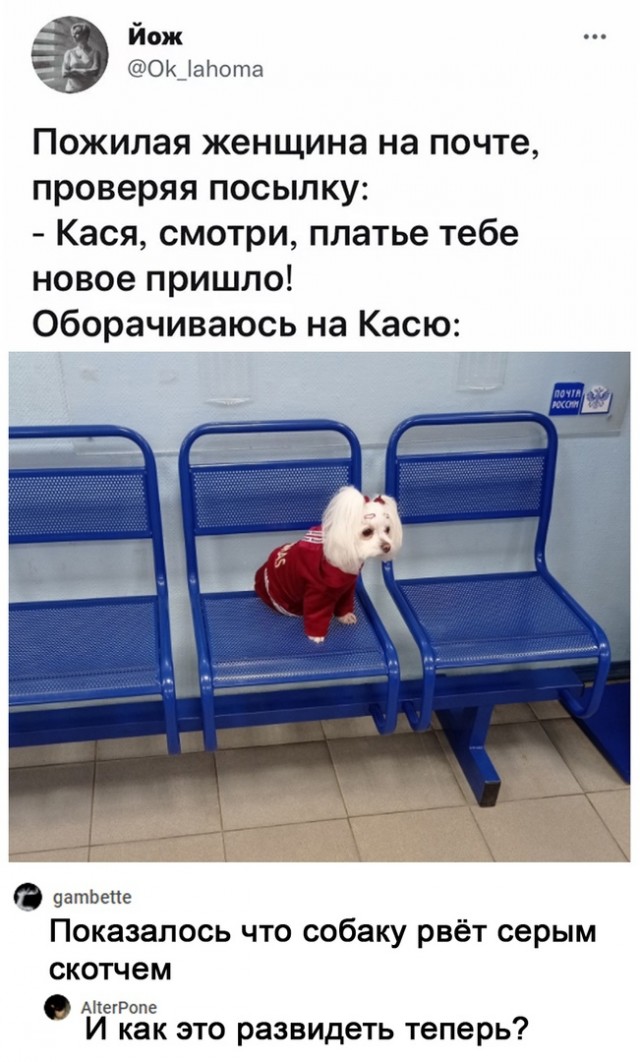Так себе картинки 27.08.21