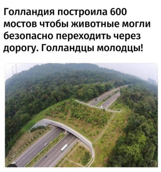 Весёлый полтишок 02.10