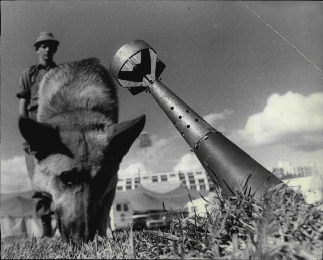50 лет назад. Ноябрь 1971 года