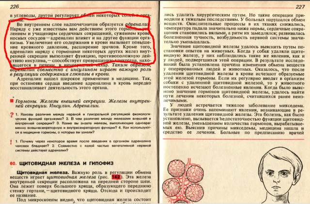 Так себе картинки 17.12.2021