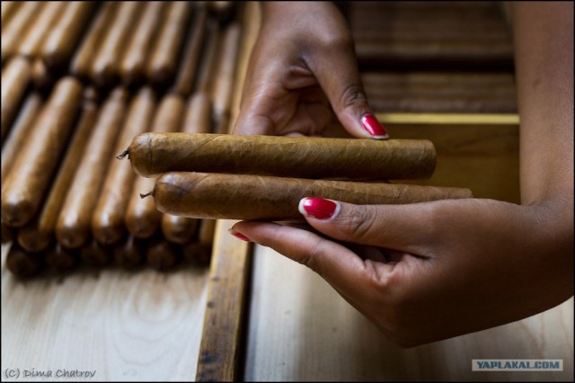 Сигарная фабрика Cohiba