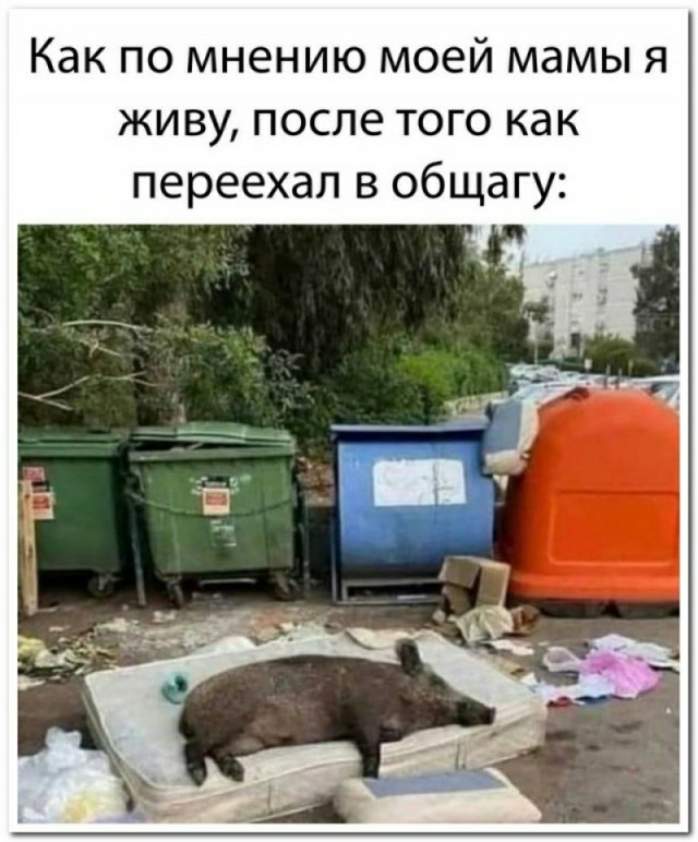 Так себе картинки 04.04.22