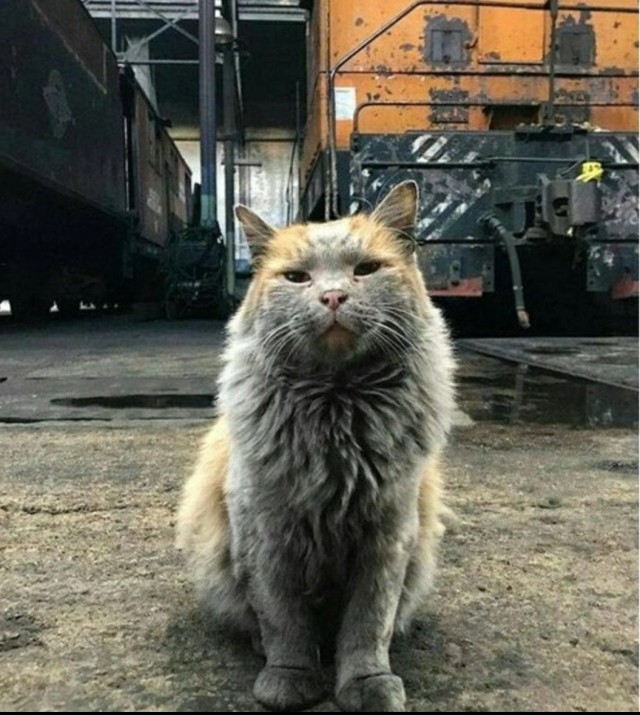 Знакомьтесь, это Грязь!