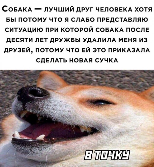 Картинки и мемы для настроения - 14