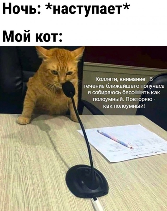 Так себе картинки 17.06.22