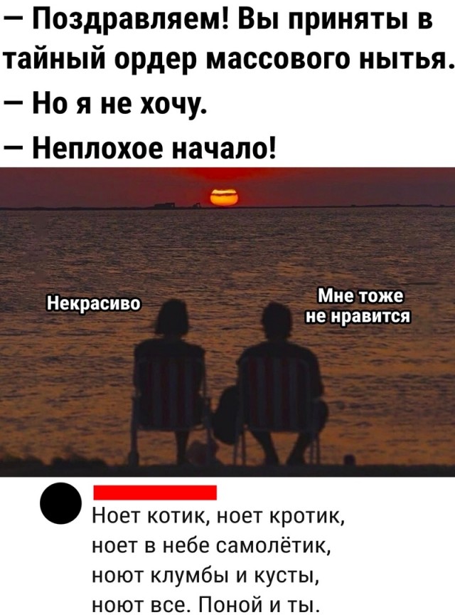 Так себе картинки 20.06.22