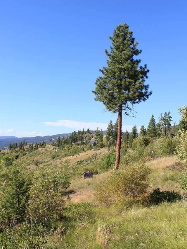 Деревенская Америка