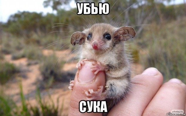 Австралийская модель Тай Эмери победила соперницу в ринге и показала фанатам грудь