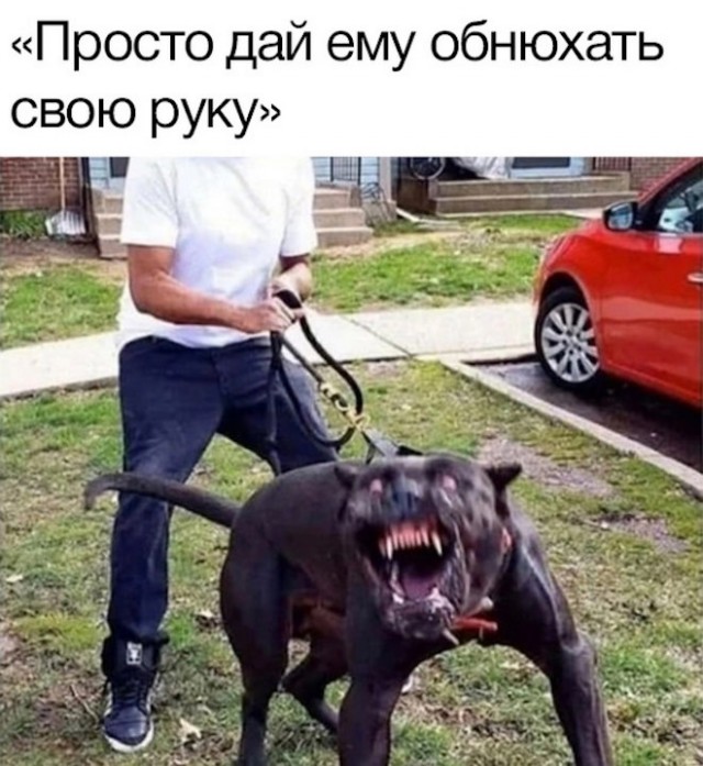 Картинки и мемы для настроения - 17