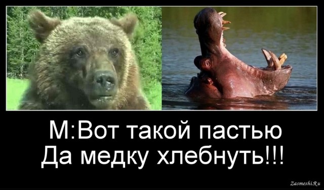 Отвлеку вас от новостей