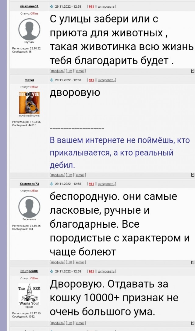 Какую породу кошки завести?