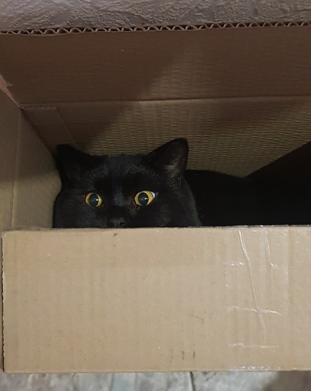 Совпало же? В котовторник