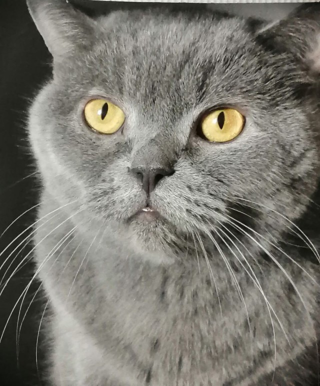 Всем здрасьте