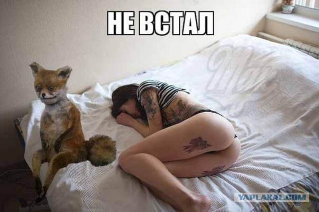 В Якутии бизнесвумен обвинила депутата в оральном изнасиловании и побоях