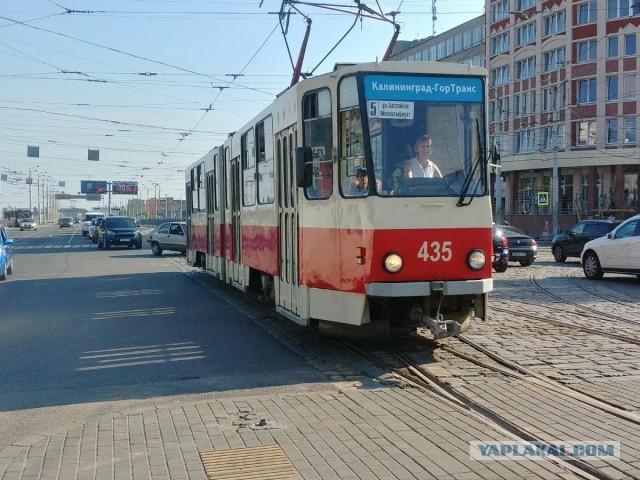 В Петербурге появится более 50 трамваев в ретро-стиле