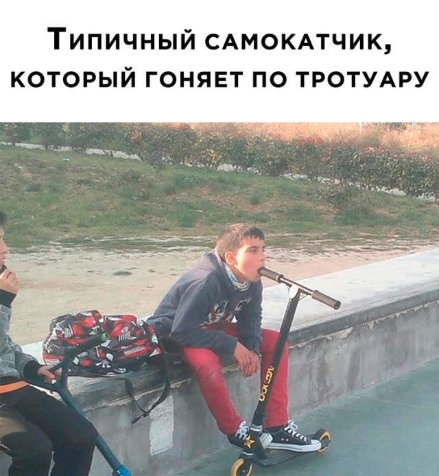 Весёлый полтишок 30.03.23