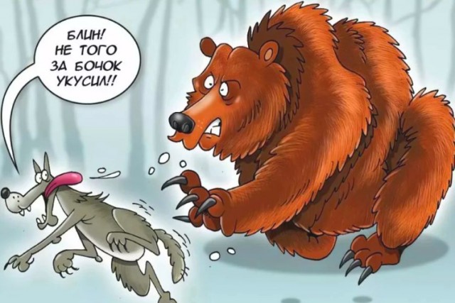 Рандомные анекдоты про медведя