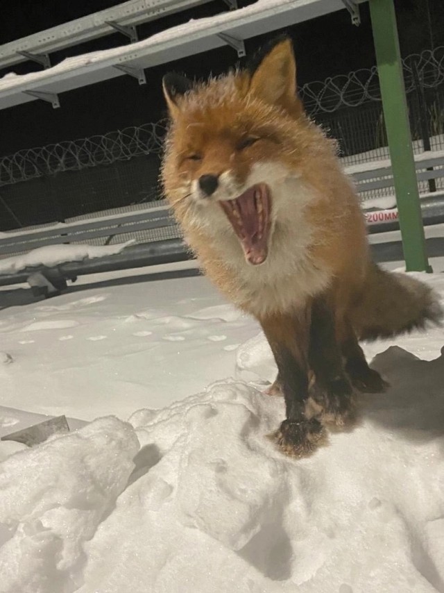 Держимся мужики!