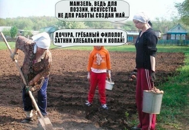 Так себе картинки 08.05.23