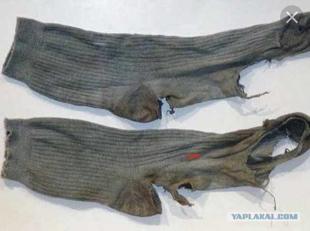 Девки совсем одурели. Куда мир катится?!