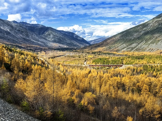 Краски осени