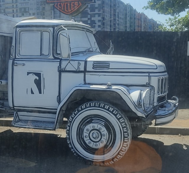 Прикольный окрас