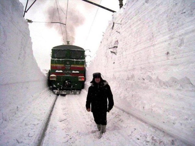 Сквозь снег