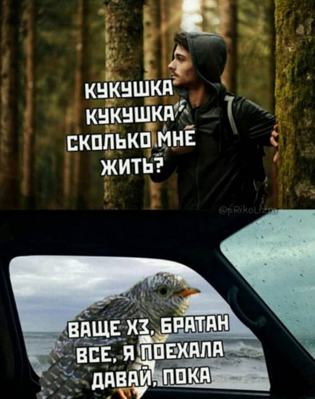 Всего понемногу. От 29.01.24