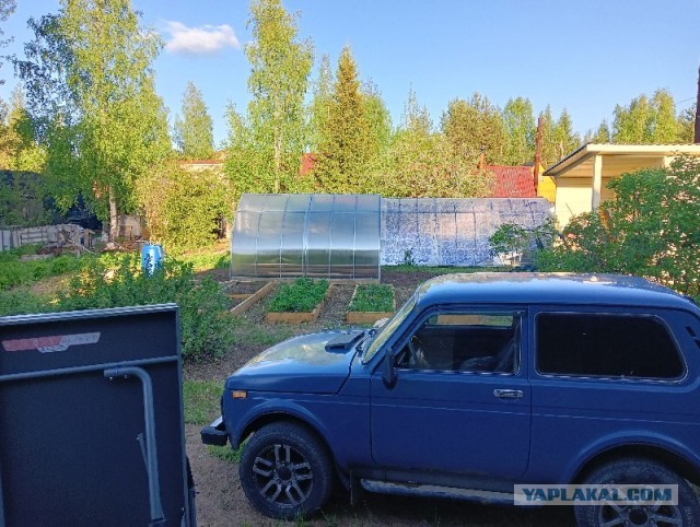 А как вы готовитесь к огородному сезону?