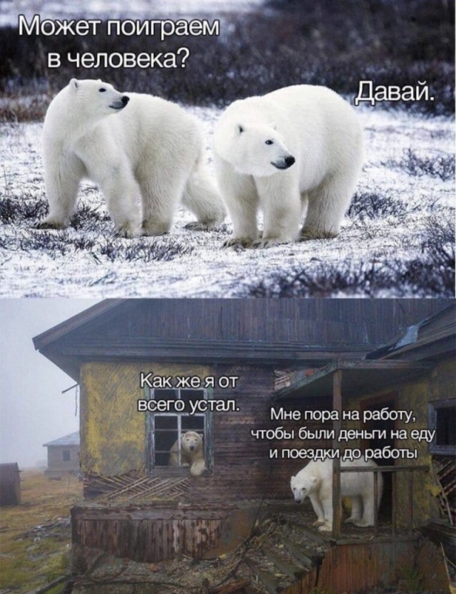 Тлидцать тли от 14 февлаля