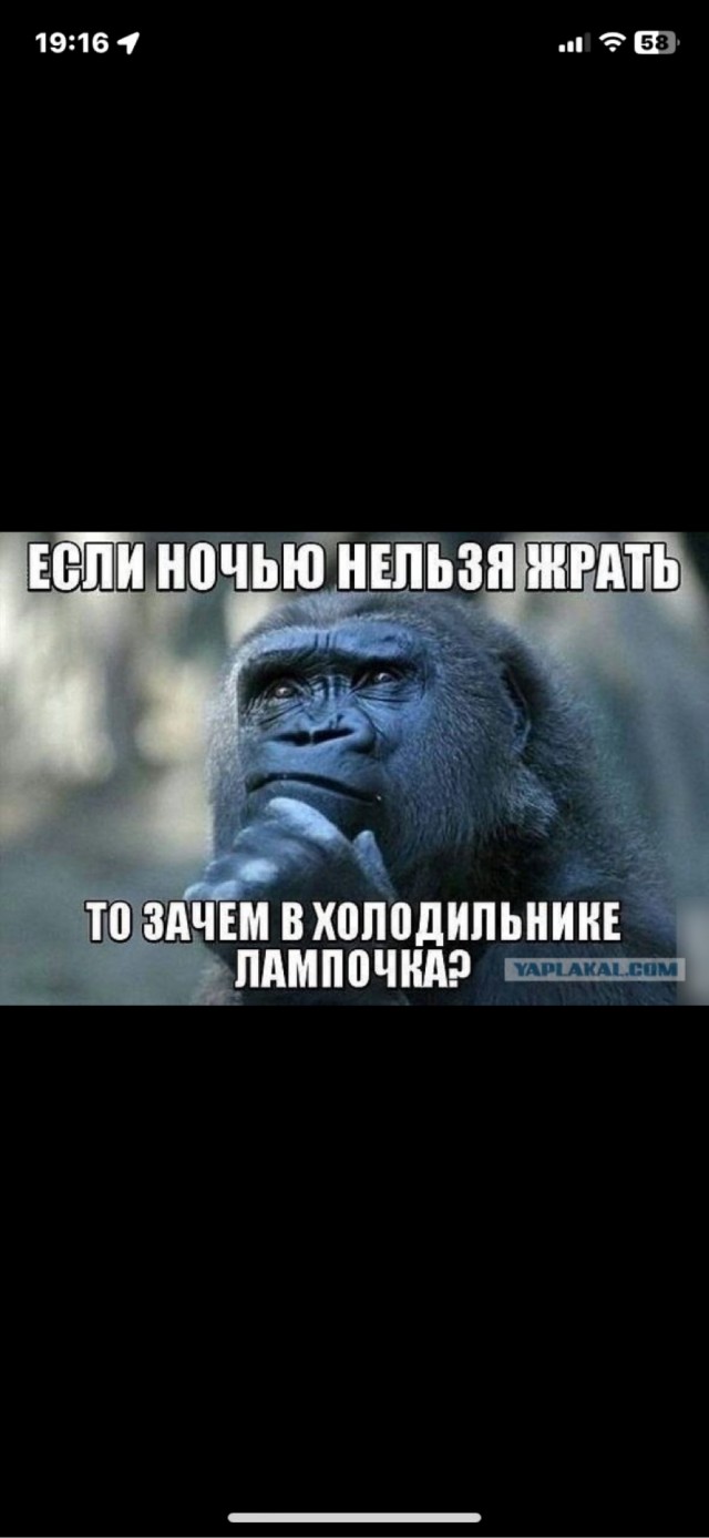 Куча веселых картинок