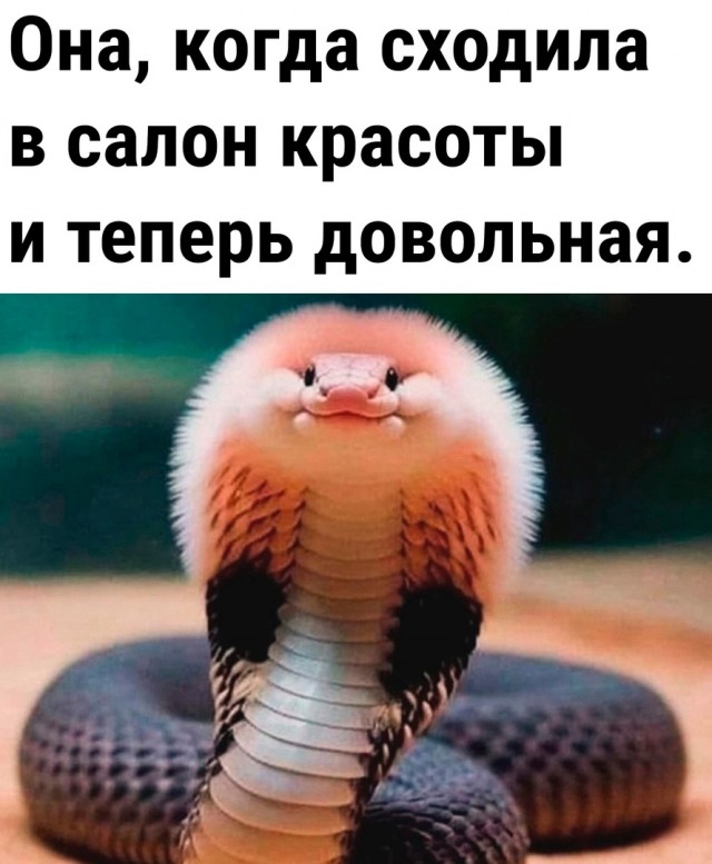 Так себе картинки 22.07.24