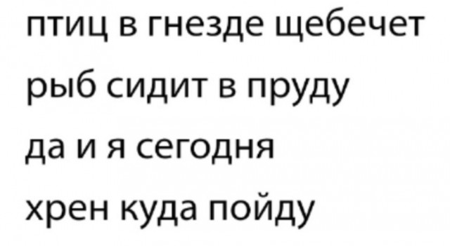 Весёлый полтишок 05.08.24