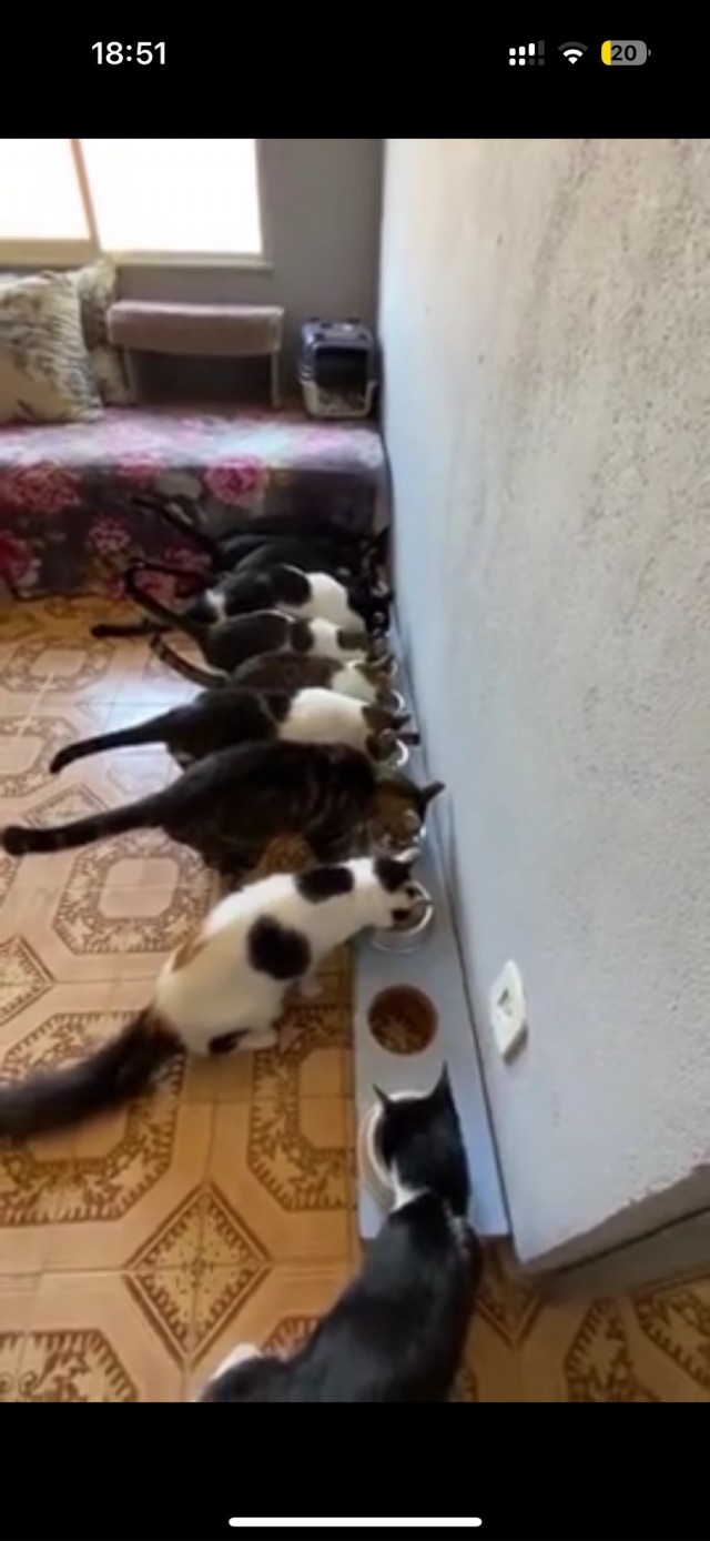 Наташа?