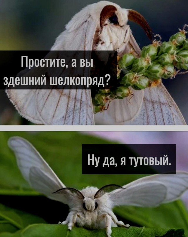 Завалялось тут случайно немного забавных картинок