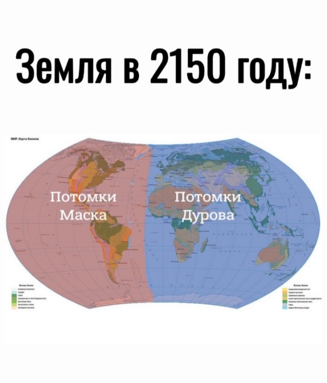 Весёлый полтишок 22.11.24