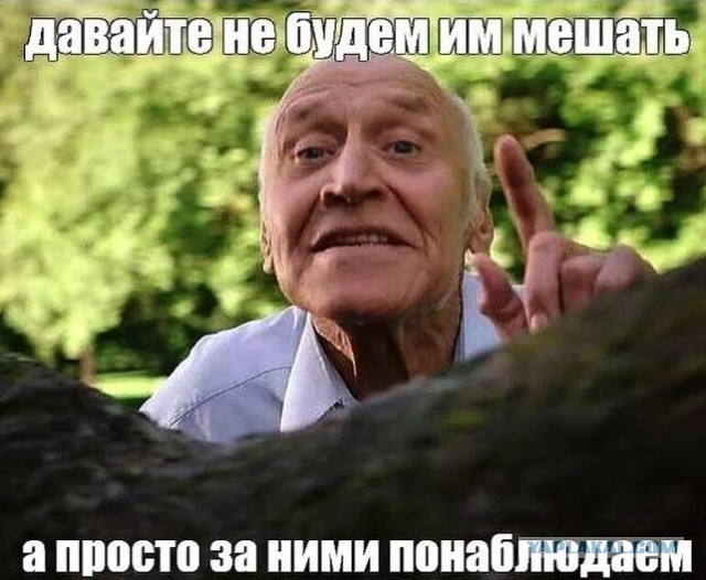 "The [Зе] Фиаско". Полная запись скандального разговора Зеленского и Трампа с русскими субтитрами