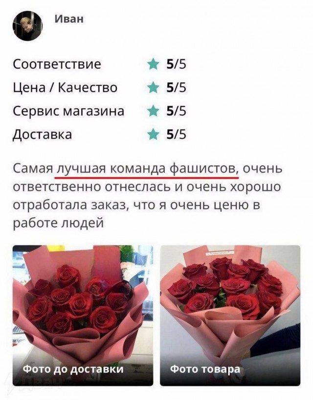 Веселые картинки в пятницу (04.04)