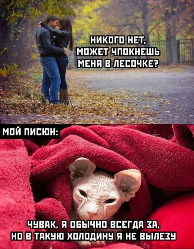 Юмор для тех, кто уже повзрослел и понял, что выходные — это миф