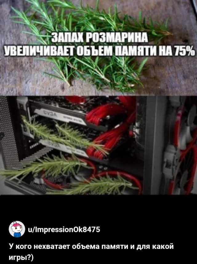 Жалуются на бояны местные.