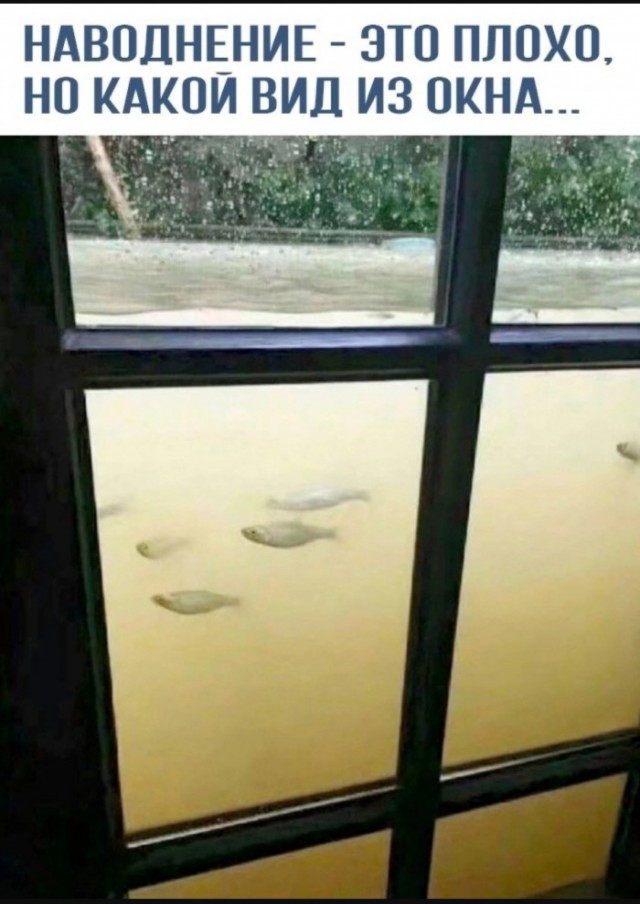 Для настроения в пятницу