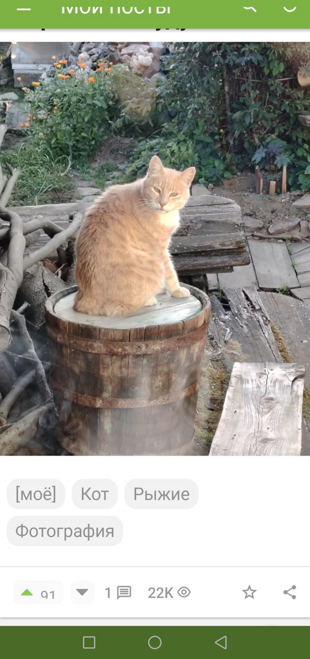 Это лучшая работа в мире