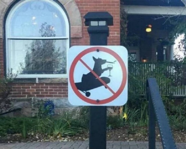 По дороге в дурку