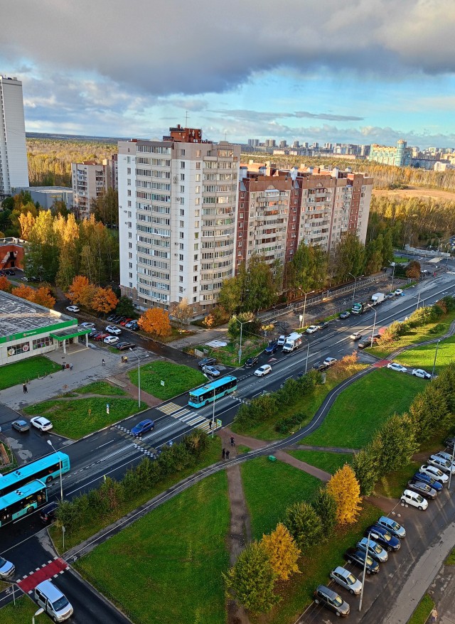 Вот и осень к нам пришла