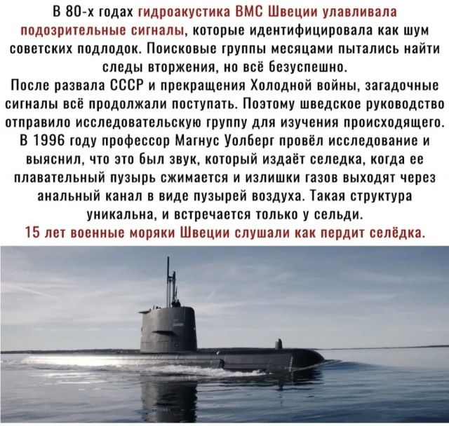 У берегов Франции всплыла российская подлодка
