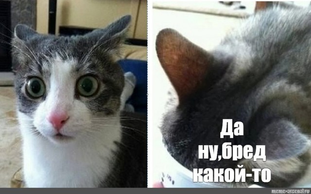 Герань долетела-таки до Лоднона. С нюансом.