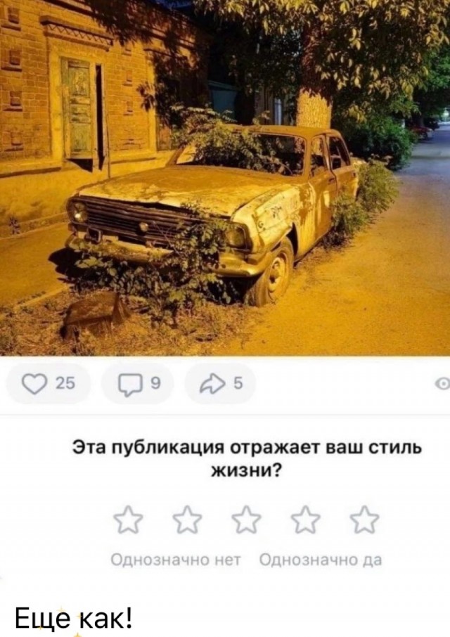 Веселое настроение в картинках (16.10.2025)