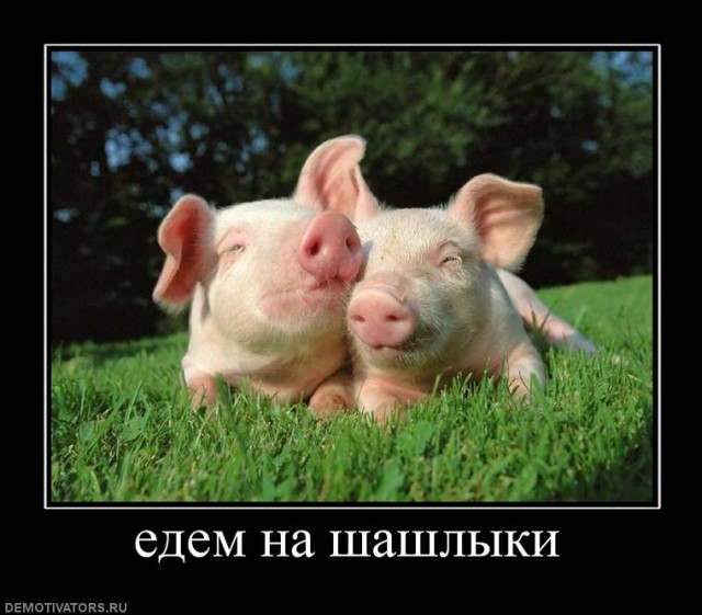 Склад баянов