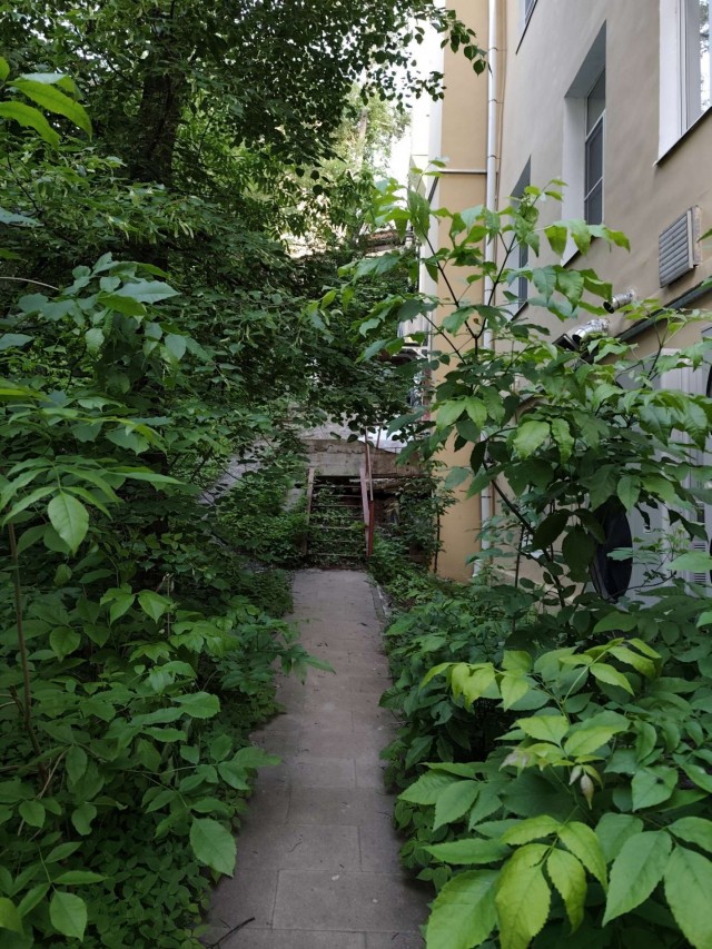 Шляюсь по  Москве