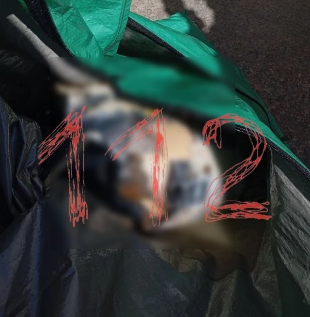 В Питере всё как обычно